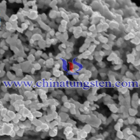 SEM Micrograph of Tungsten Powder