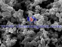 SEM Micrograph of Tungsten Powder