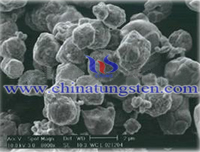 SEM Micrograph of Tungsten Powder