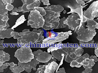 SEM Mikrograp ng Tungsten karbid Powder