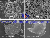 Micrographie SEM de la poudre de tungstène