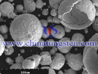 ammonium metatungstate SEM