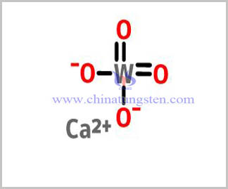 structure of Calcium Tungstate