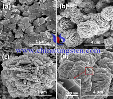 Forskelligt molforhold MA w af wolframoxidpolymorf