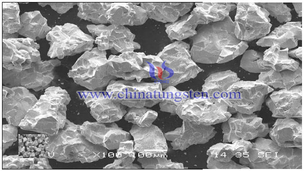 Macro Tungsten Carbide Powder SEM
