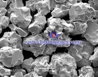 Tungsten Carbide Powder Electron Micrograph