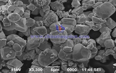 Tungsten Pulver SEM